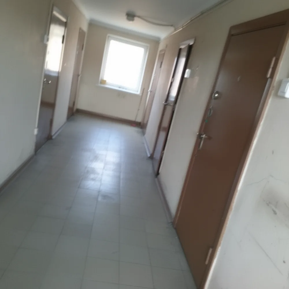 Culoarul dintre apartamente - după curățenie