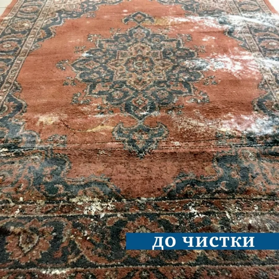 Covor Dmitri înainte de curățarea chimică