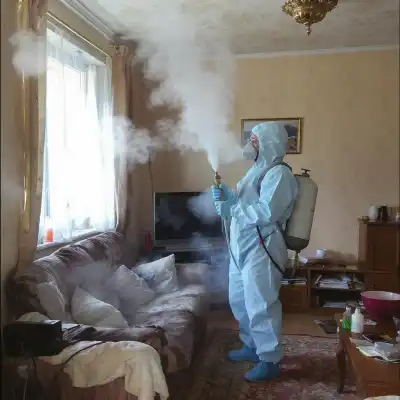 Curățenie antibacteriană a apartamentului