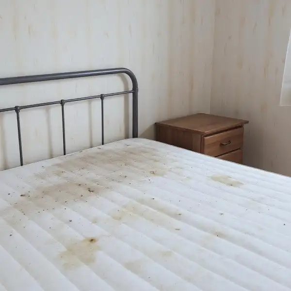 Curățare chimică a saltelei în apartament - înainte de curățenie