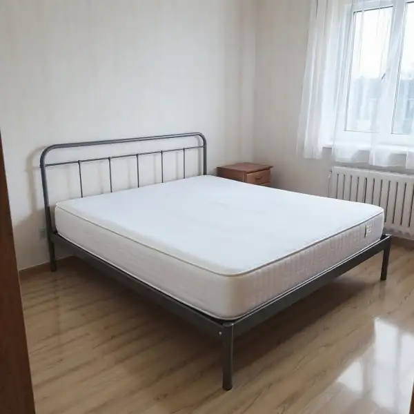 Curățare chimică a saltelei în apartament - după curățenie