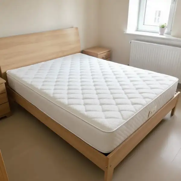 Saltea după animale de companie într-un apartament cu două camere - după curățenie