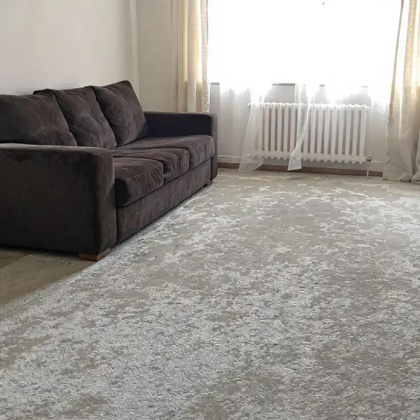 Curățare chimică a covoarelor în apartament cu transport - înainte de curățenie