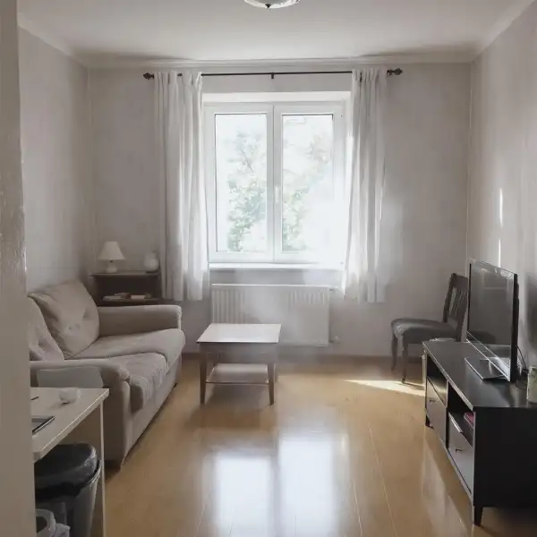 Ionizare cu ceață uscată în apartament - după curățenie