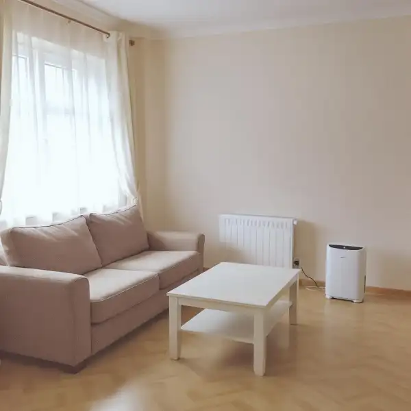 Neutralizarea mirosurilor într-o casă particulară - după curățenie