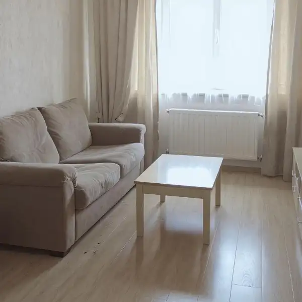 Ceață uscată într-un apartament cu trei camere - înainte de curățenie