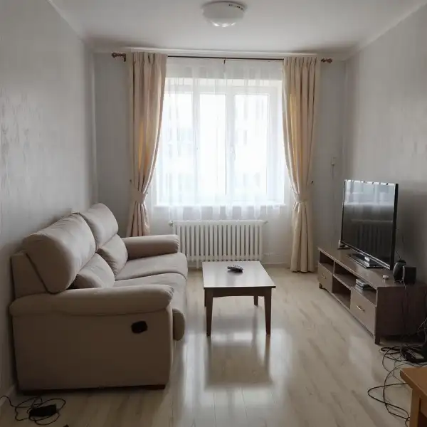 Curățenie apartament cu trei camere după cazarea animalelor - după curățenie