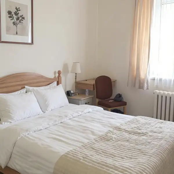 Întreținere zilnică a unui mini-hotel - înainte de curățenie