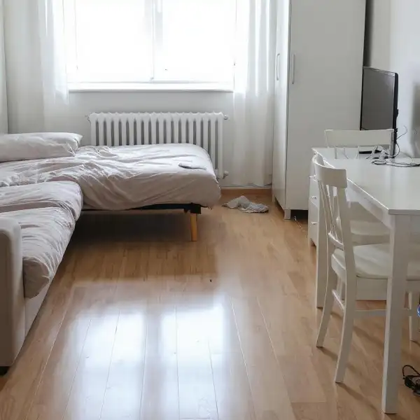 Apartament cu o cameră după închiriere - înainte de curățenie