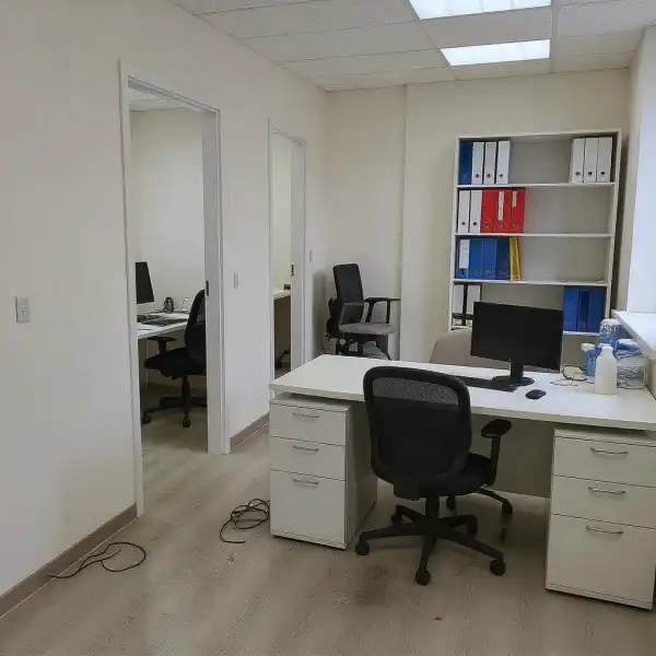 Restabilirea ordinii într-un birou cu cabinete - înainte de curățenie