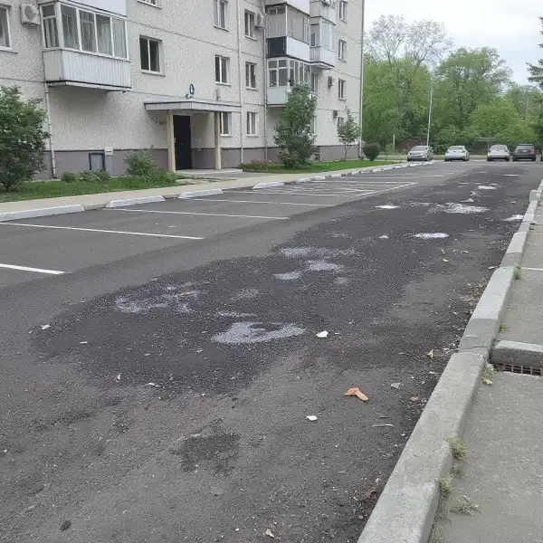 Curățenia parcării de la blocul de locuințe - înainte de curățenie