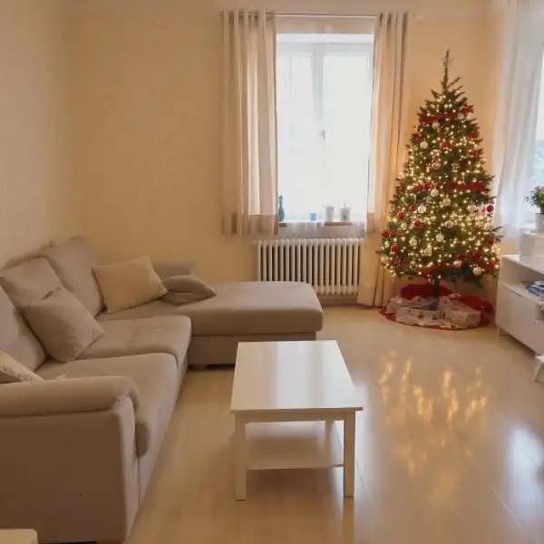 Curățenie generală înainte de Anul Nou într-un apartament - după curățenie