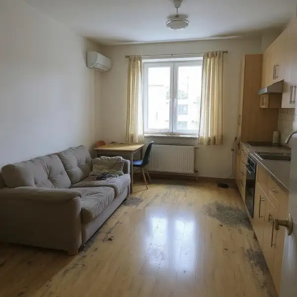Curățenie în studio înainte de mutare - înainte de curățenie